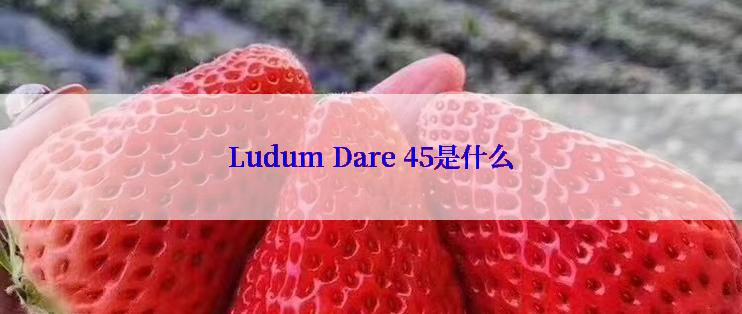 Ludum Dare 45是什么