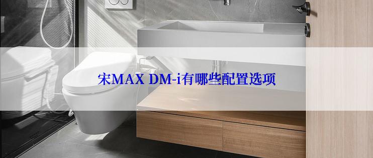 宋MAX DM-i有哪些配置选项