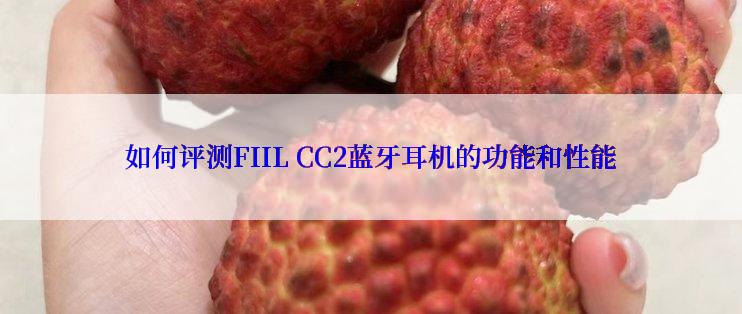 如何评测FIIL CC2蓝牙耳机的功能和性能