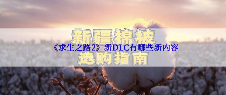  《求生之路2》新DLC有哪些新内容