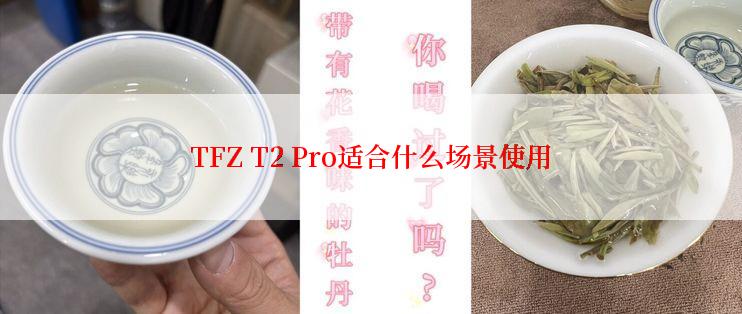 TFZ T2 Pro适合什么场景使用