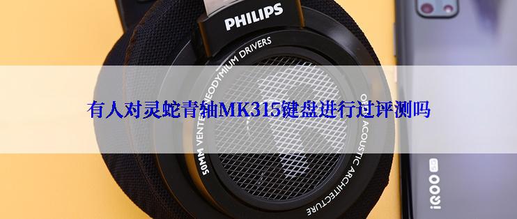 有人对灵蛇青轴MK315键盘进行过评测吗