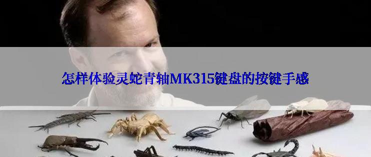 怎样体验灵蛇青轴MK315键盘的按键手感