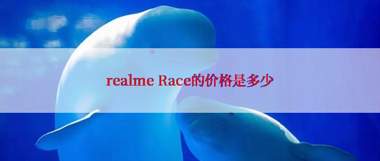 realme Race的价格是多少