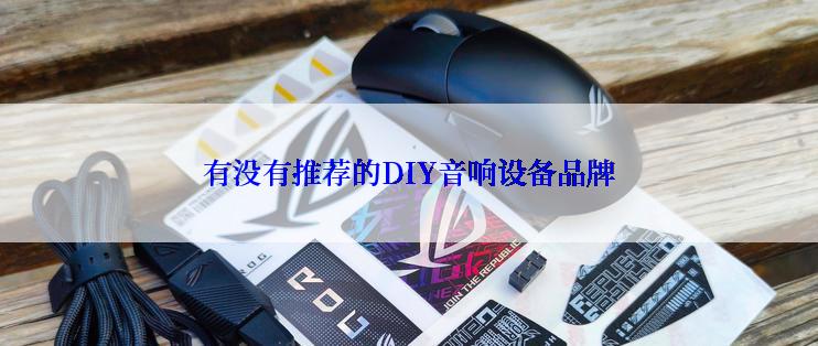 有没有推荐的DIY音响设备品牌