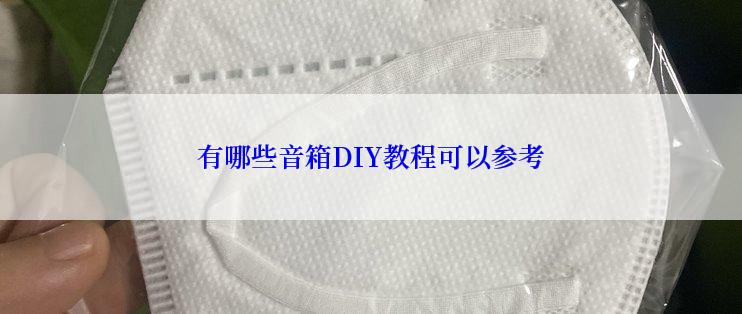 有哪些音箱DIY教程可以参考