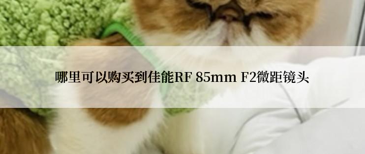 哪里可以购买到佳能RF 85mm F2微距镜头