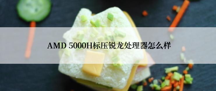  AMD 5000H标压锐龙处理器怎么样