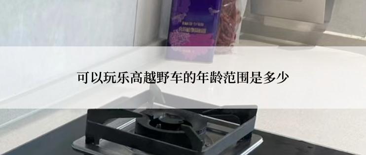 可以玩乐高越野车的年龄范围是多少