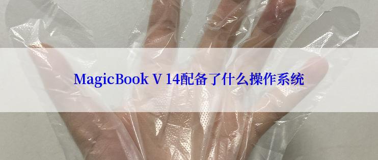 MagicBook V 14配备了什么操作系统