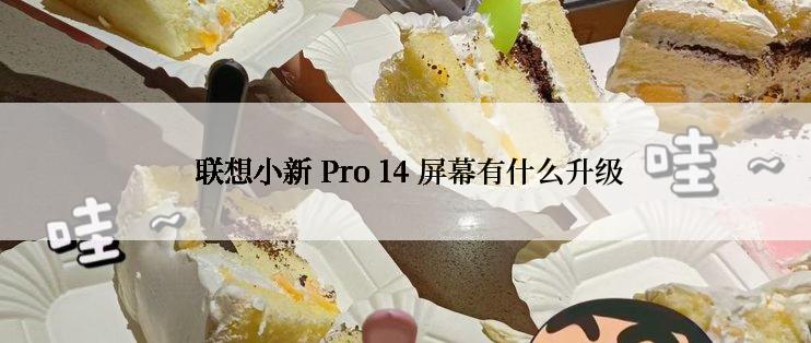  联想小新 Pro 14 屏幕有什么升级