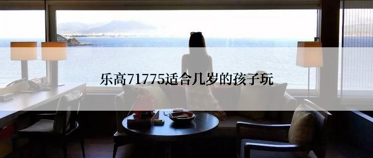 乐高71775适合几岁的孩子玩