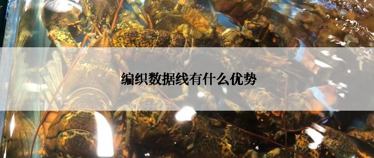  编织数据线有什么优势