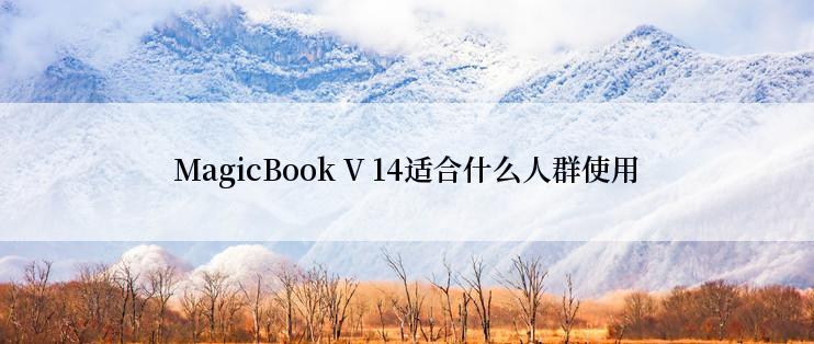 MagicBook V 14适合什么人群使用