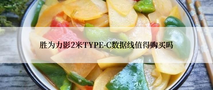 胜为力影2米TYPE-C数据线值得购买吗