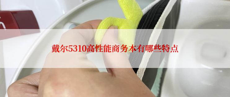 戴尔5310高性能商务本有哪些特点