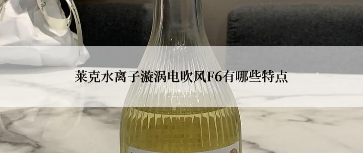 莱克水离子漩涡电吹风F6有哪些特点