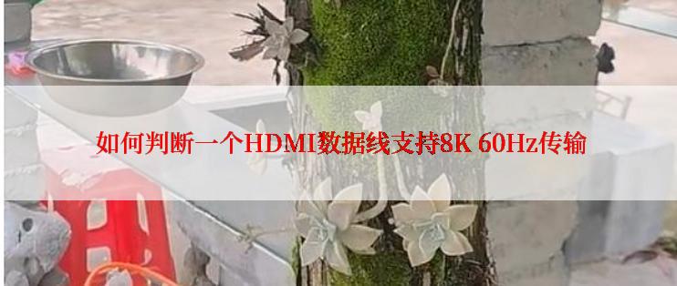  如何判断一个HDMI数据线支持8K 60Hz传输