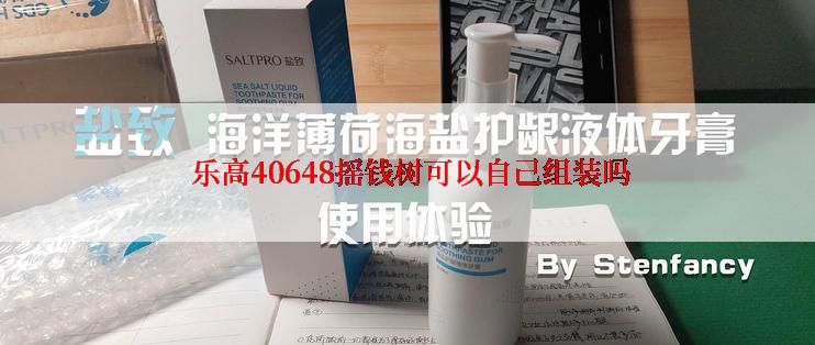  乐高40648摇钱树可以自己组装吗