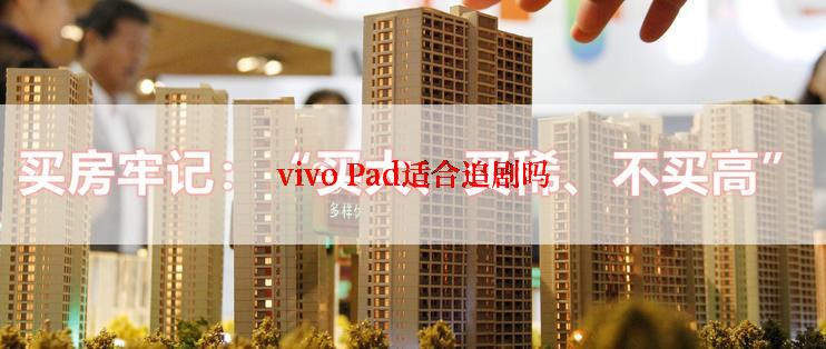 vivo Pad适合追剧吗