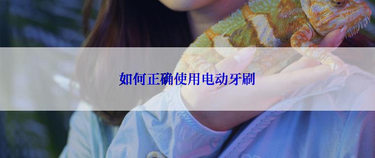 如何正确使用电动牙刷