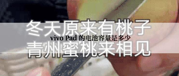  vivo Pad 的电池容量是多少