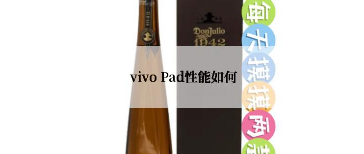  vivo Pad性能如何