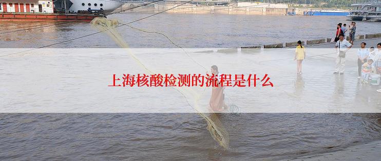 上海核酸检测的流程是什么