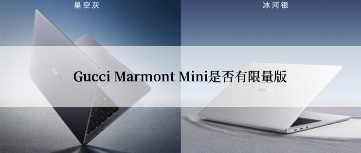 Gucci Marmont Mini是否有限量版