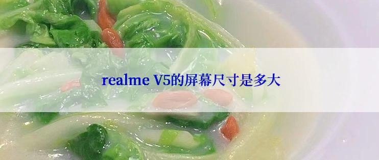  realme V5的屏幕尺寸是多大