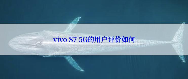 vivo S7 5G的用户评价如何