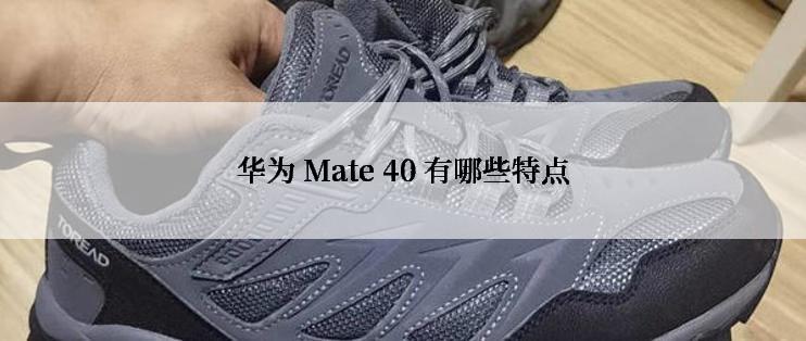 华为 Mate 40 有哪些特点