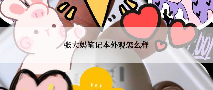 张大妈笔记本外观怎么样