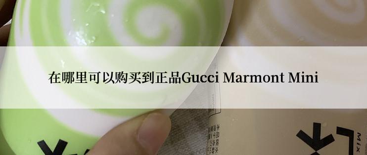 在哪里可以购买到正品Gucci Marmont Mini