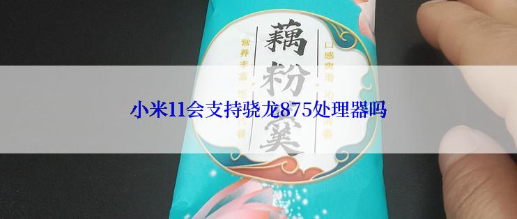 小米11会支持骁龙875处理器吗