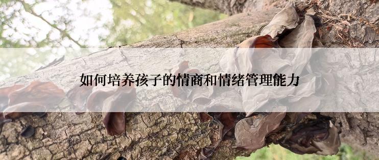 如何培养孩子的情商和情绪管理能力