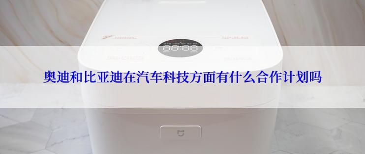 奥迪和比亚迪在汽车科技方面有什么合作计划吗