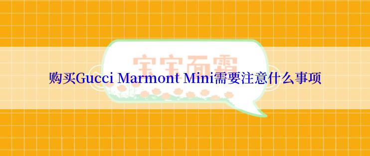 购买Gucci Marmont Mini需要注意什么事项