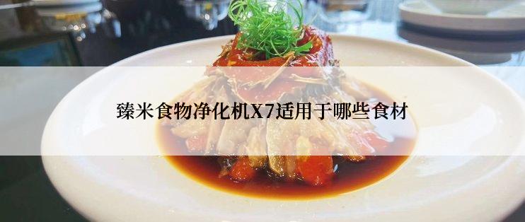 臻米食物净化机X7适用于哪些食材