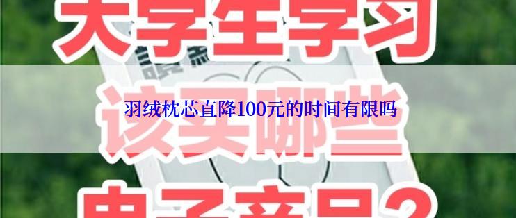  羽绒枕芯直降100元的时间有限吗