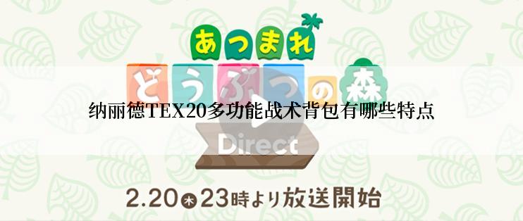 纳丽德TEX20多功能战术背包有哪些特点