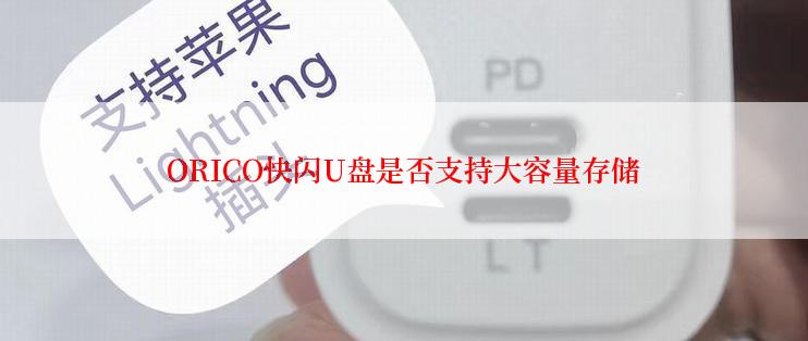 ORICO快闪U盘是否支持大容量存储