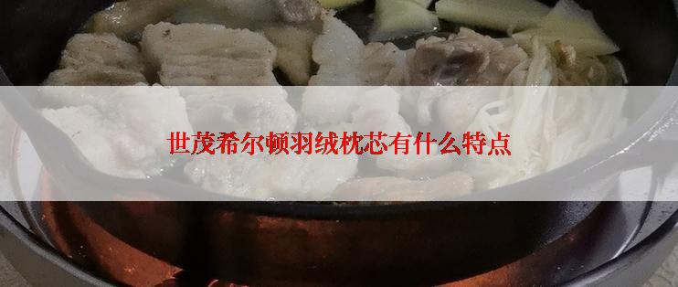 世茂希尔顿羽绒枕芯有什么特点