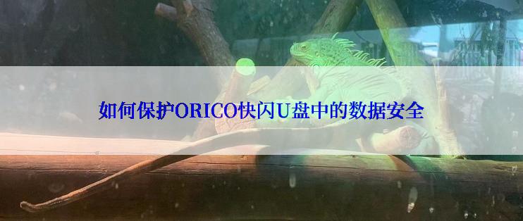 如何保护ORICO快闪U盘中的数据安全