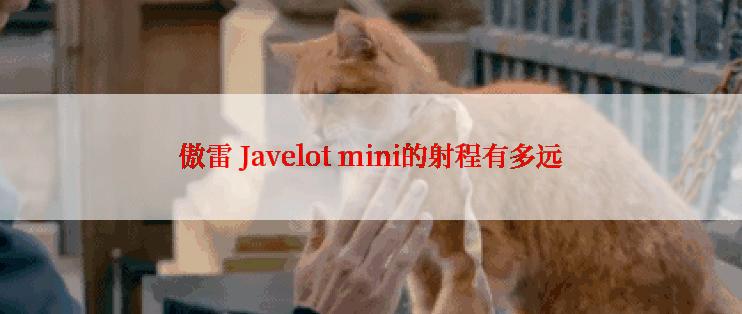 傲雷 Javelot mini的射程有多远