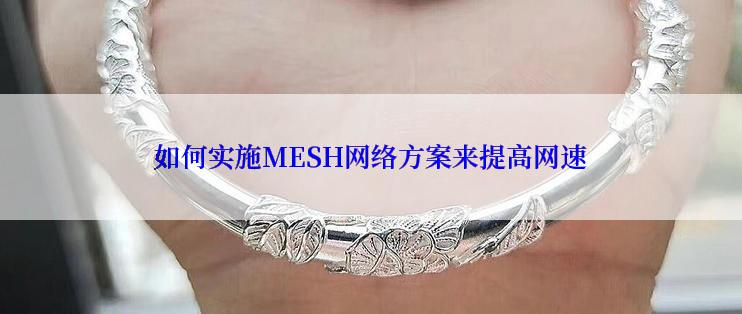 如何实施MESH网络方案来提高网速