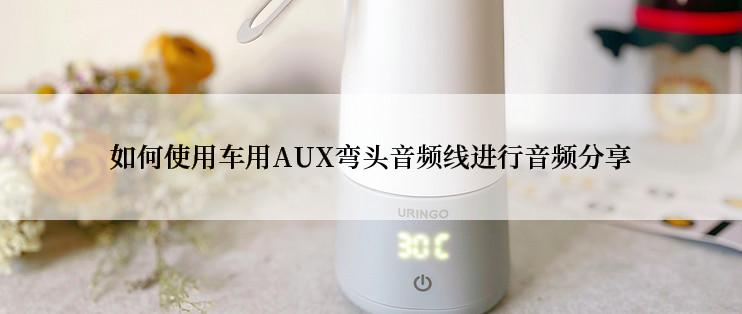 如何使用车用AUX弯头音频线进行音频分享