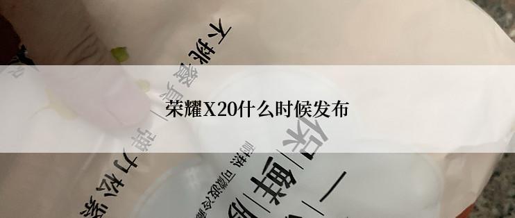 荣耀X20什么时候发布