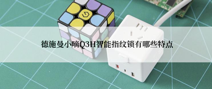  德施曼小嘀Q3H智能指纹锁有哪些特点