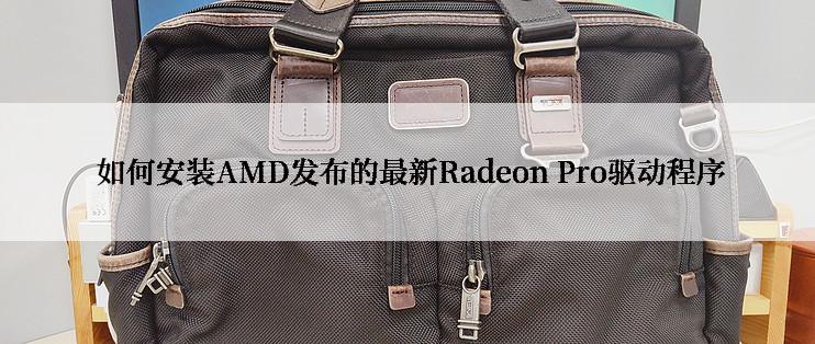  如何安装AMD发布的最新Radeon Pro驱动程序